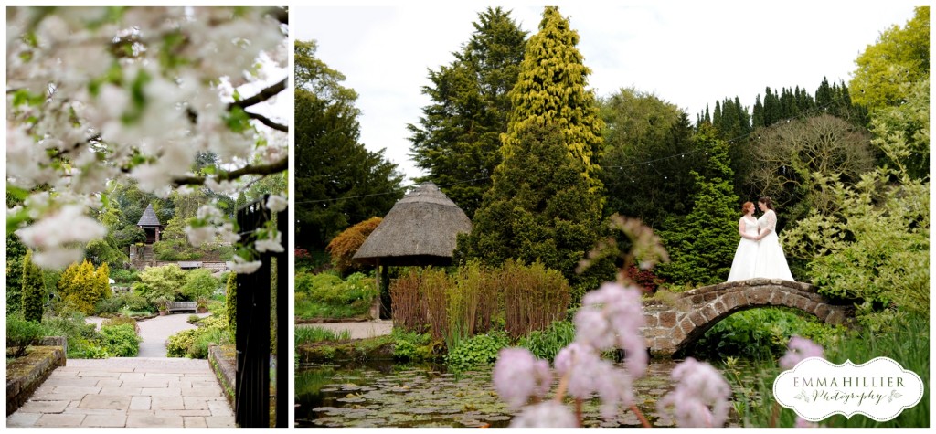 Ness Gardens wedding