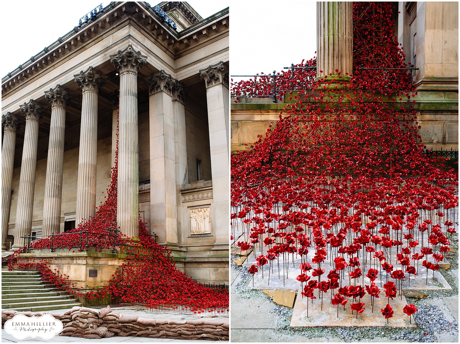 Poppies: Wave and Weeping Window