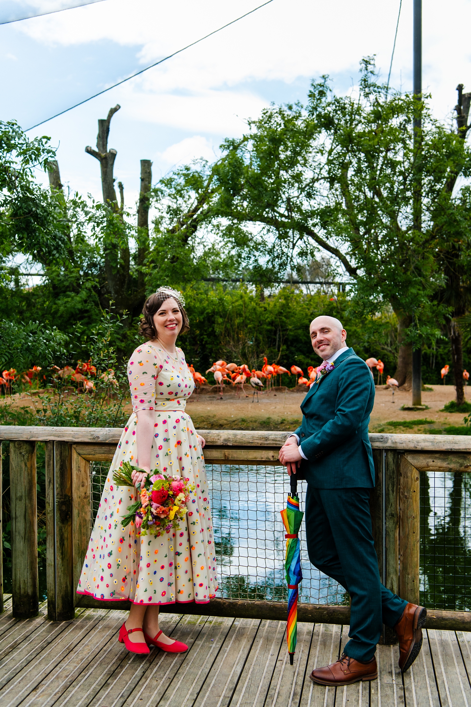 Newlyweds admiring the flamingos during their Chester Zoo wedding